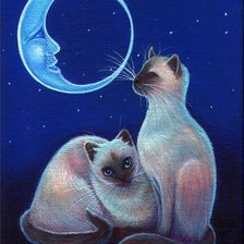 Схема вышивки «Ночные посиделки»