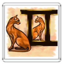 Схема вышивки «Знак зодиака-близнецы»