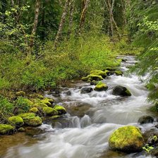 Схема вышивки «ручей»