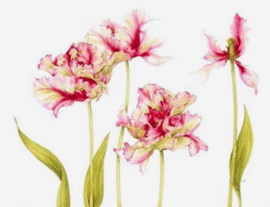 Цветы.Акварель - живопись, цветы, джен харбон, букеты, акварель - предпросмотр