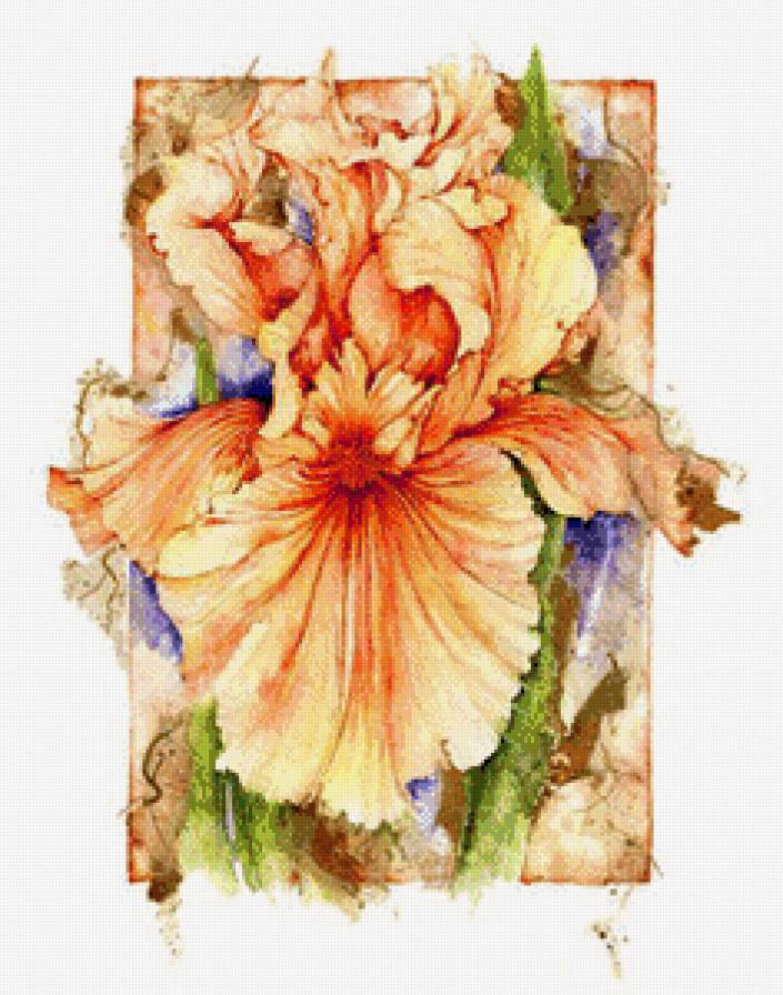 Ирисы.Акварель - джен харбон, букеты, цветы, акварель, живопись - предпросмотр