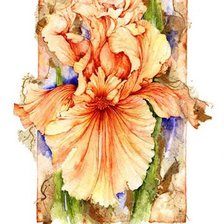 Схема вышивки «Ирисы.Акварель»