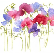 Схема вышивки «Цветы.Акварель»