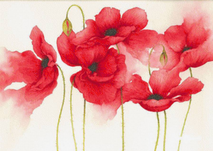 Маки.Джен Харбон - цветы, живопись, акварель, букеты, джен харбон - предпросмотр
