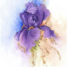 Схема вышивки «Ирисы.Акварель»