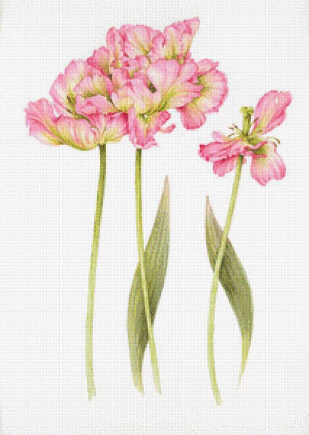 Цветы.Акварель - джен харбон, цветы, живопись, акварель, букеты - предпросмотр