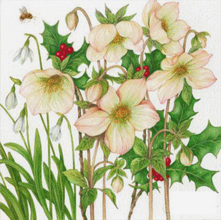 Цветы.Акварель - акварель, джен харбон, цветы, букеты, живопись - предпросмотр