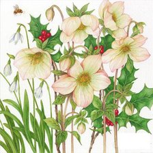 Схема вышивки «Цветы.Акварель»