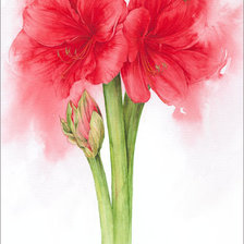 Схема вышивки «Цветы.Акварель»