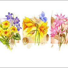 Схема вышивки «Цветы.Акварель»