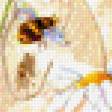 Предпросмотр схемы вышивки «Цветы.Акварель» (№599850)