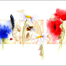 Схема вышивки «Цветы.Акварель»