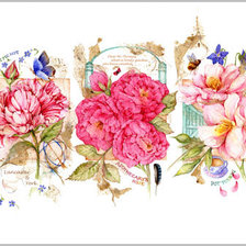 Схема вышивки «Цветы.Акварель»