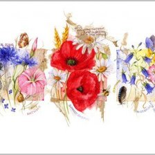 Схема вышивки «Цветы.Акварель»