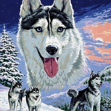 Схема вышивки «хаски»