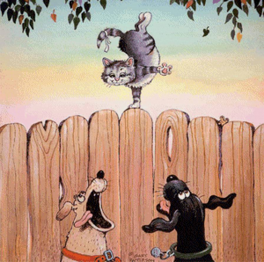 Кот-акробат - животные, кот, приколы, юмор, собаки - предпросмотр