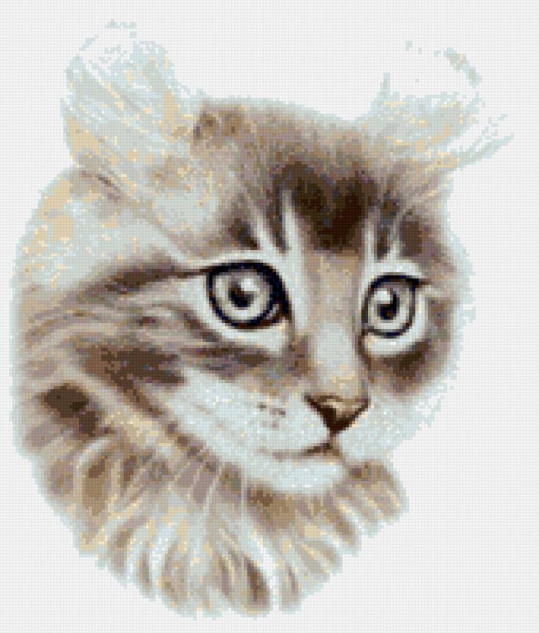 Кошка - кошка, животные - предпросмотр