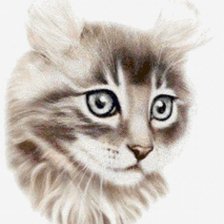 Схема вышивки «Кошка»