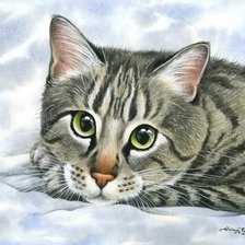 Схема вышивки «Кошка на снегу»