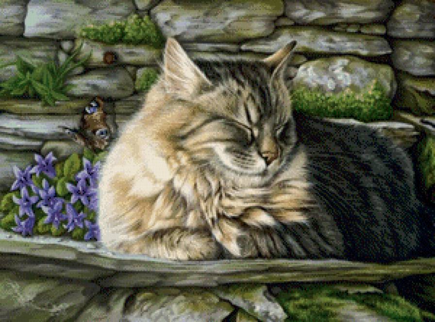кошка - бабочки, цветы, кошки, коты - предпросмотр