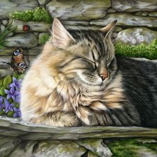 Схема вышивки «кошка»