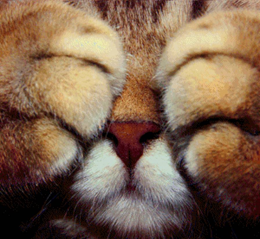 котёночек - для подушки - предпросмотр