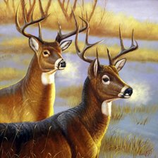 Схема вышивки «олени»