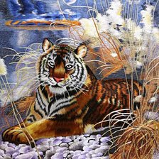 отдых после охоты