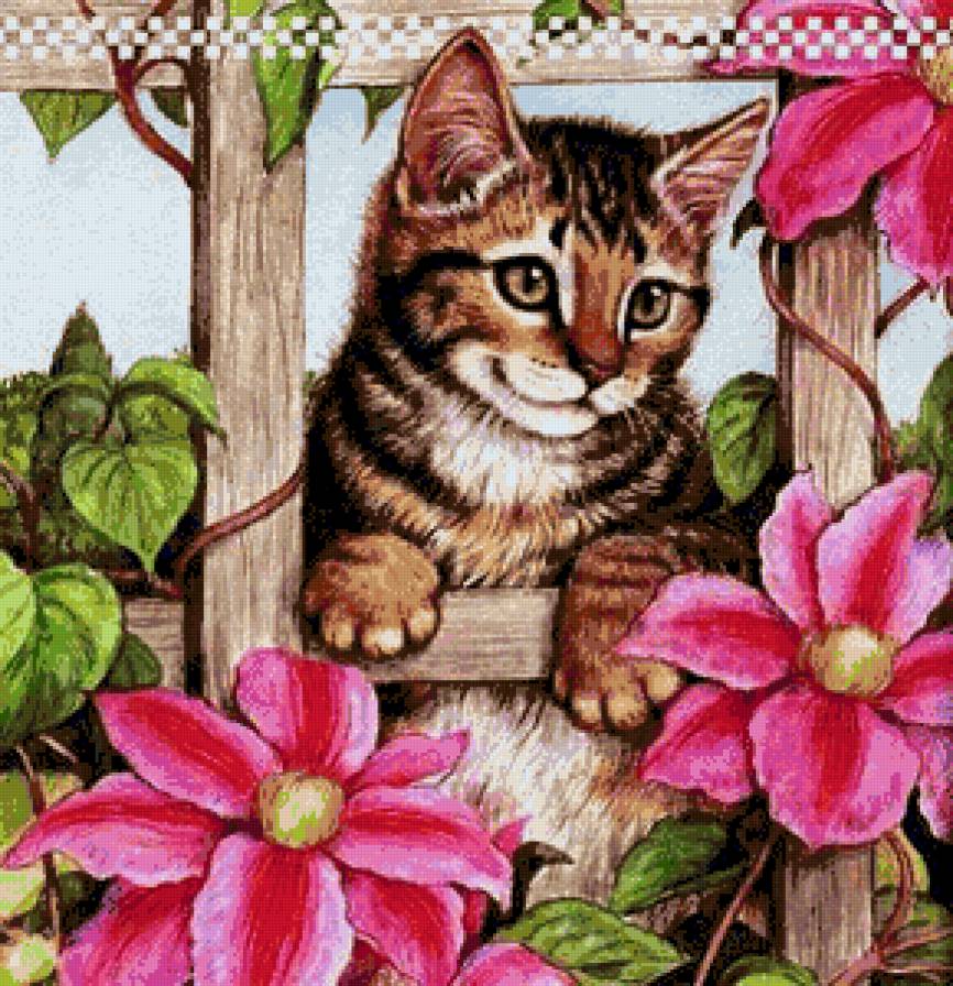 а что там за забором - котики - предпросмотр