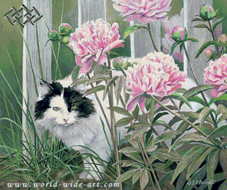 спрятался в пионах - цветы, котики - предпросмотр