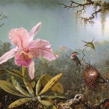 Схема вышивки «орхидея»