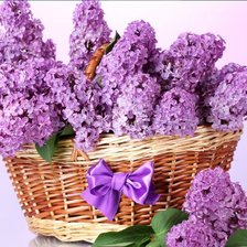 Схема вышивки «корзинка красоты»