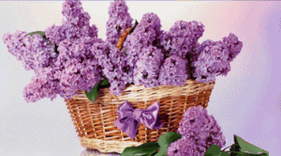 букет в вазе - сирень, корзина - предпросмотр