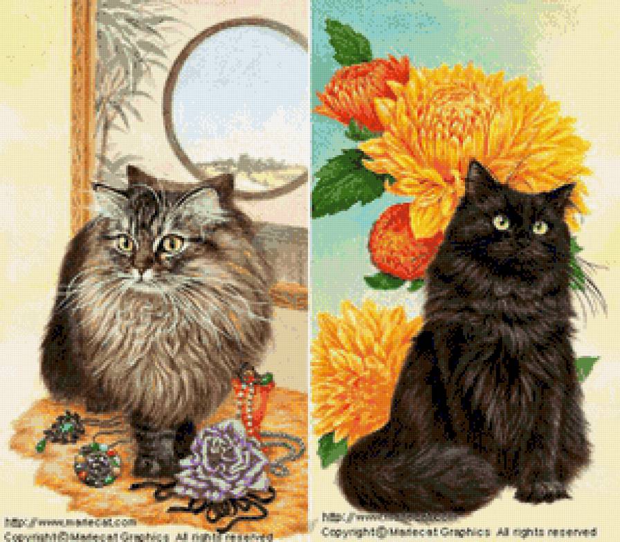 двойной портрет - котики - предпросмотр