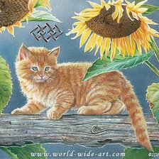 Схема вышивки «прогулка в подсолнухах»