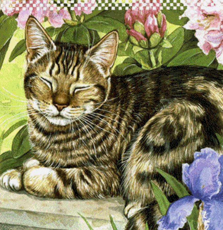 Коты. - дэбби кук, коты, живопись - предпросмотр