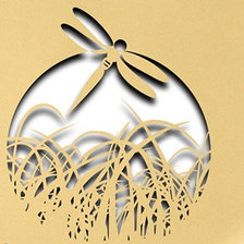 Схема вышивки «стрекоза»