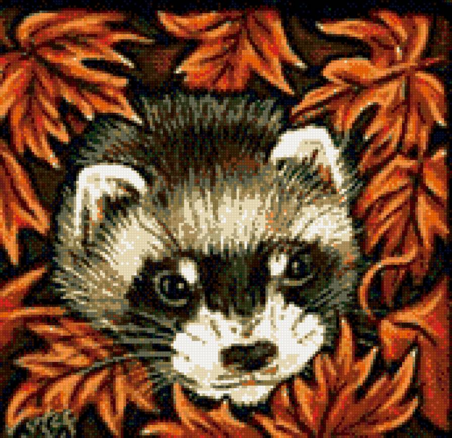 Хорёк в осенних листьях - хорьки, животные, осень, хорек, листья, хищник - предпросмотр