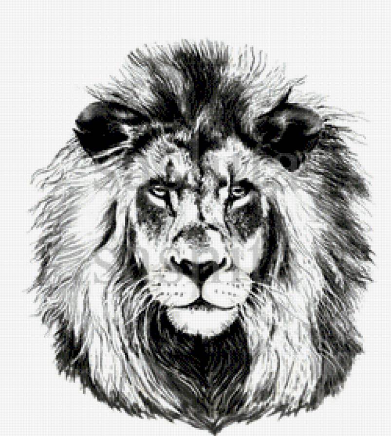 лев ,монохром - дикие кошки, животные. - предпросмотр