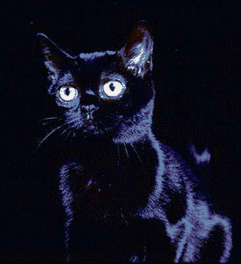 Черный кот - черный, кот - предпросмотр