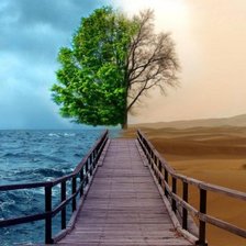 Схема вышивки «разный климат»