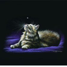 Схема вышивки «Кошка»