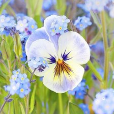 Схема вышивки «№600734»