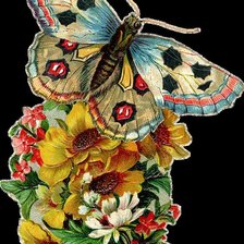 Схема вышивки «бабочка»