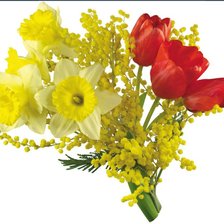 Схема вышивки «мимоза»