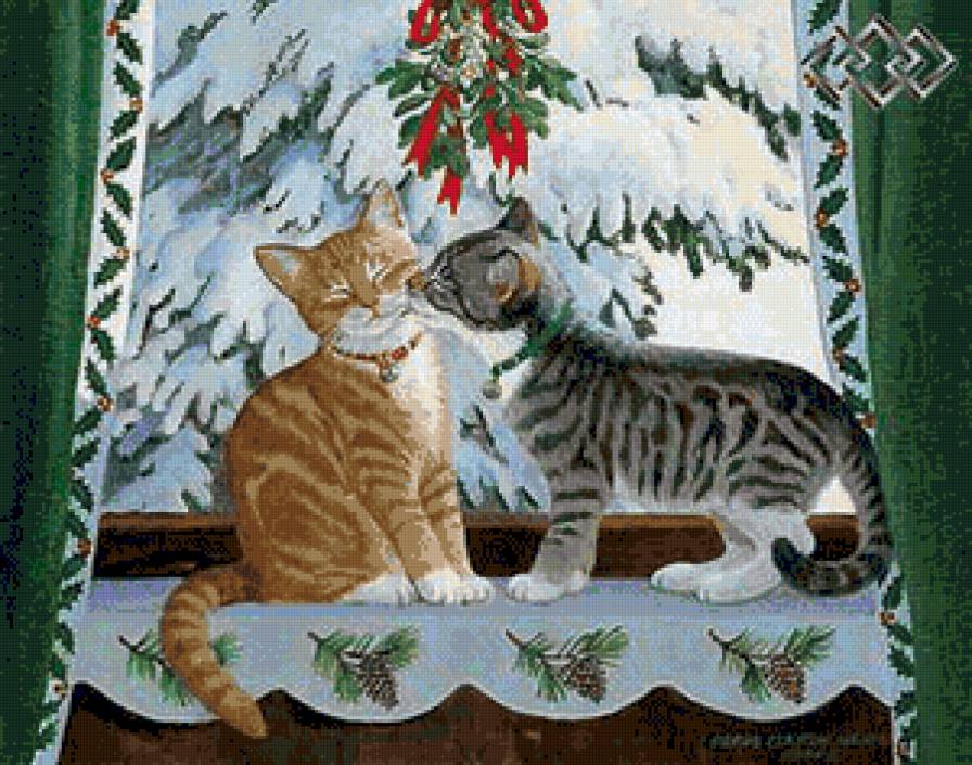 кошачий поцелуй - котики - предпросмотр