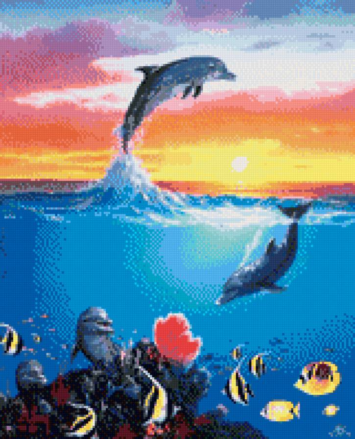 подводный мир - закат, рыбы, дельфины, море - предпросмотр