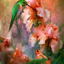 Схема вышивки «колибри»