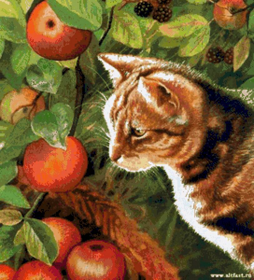 урожай хорош - котики - предпросмотр