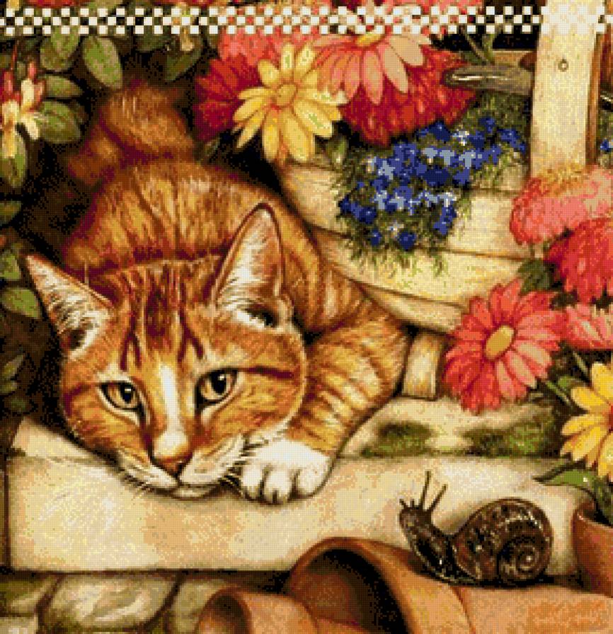 отдых рыжика - котики - предпросмотр